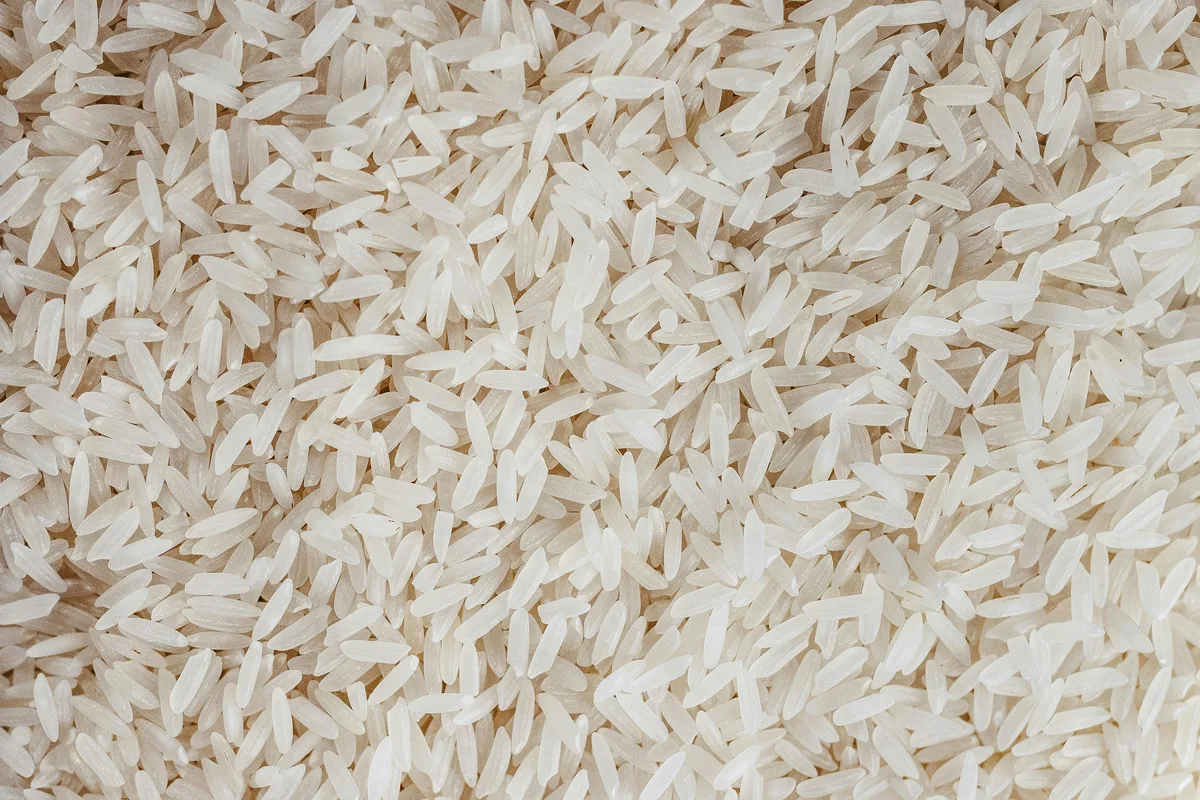 Premium basmati rice grains