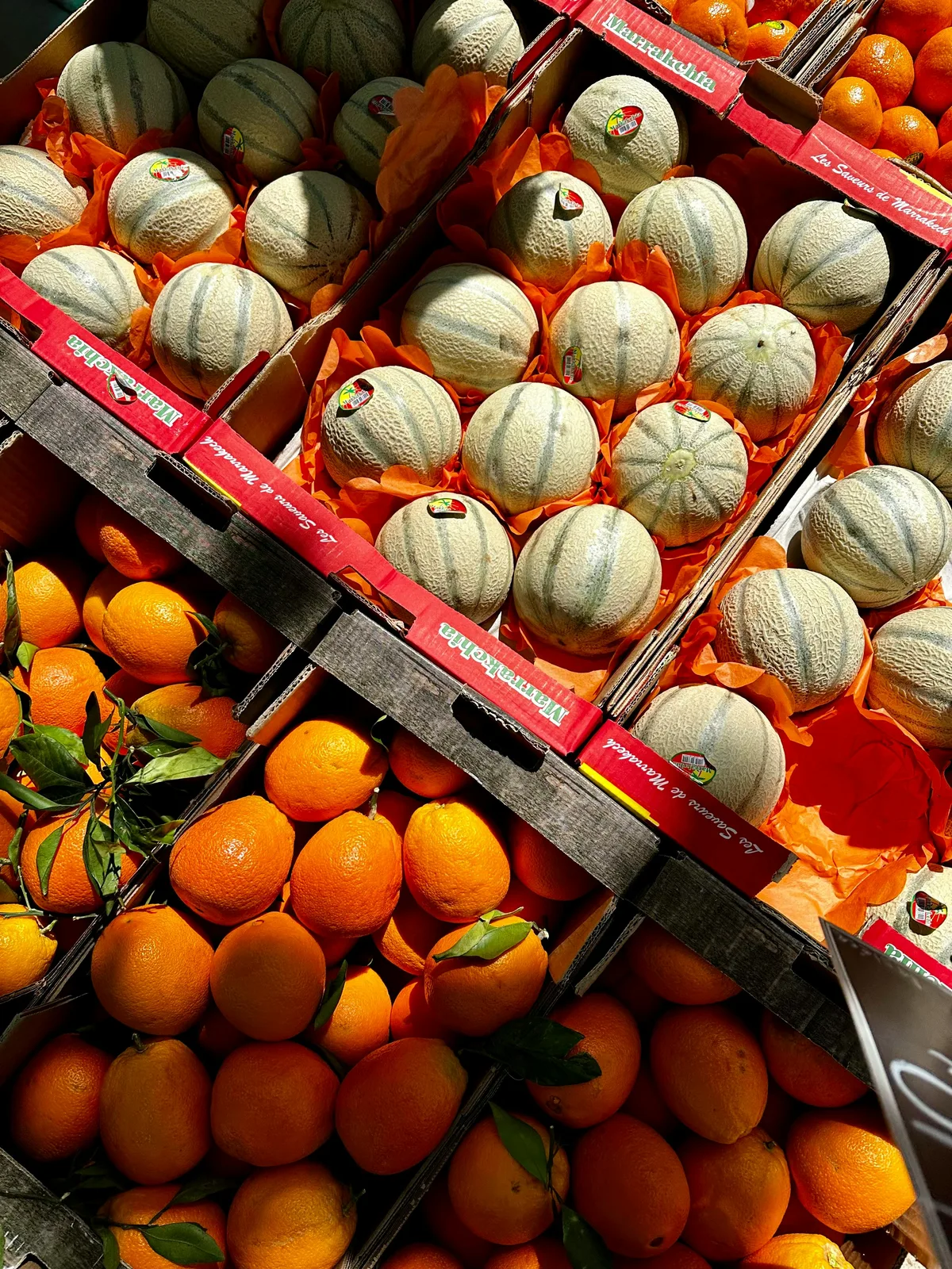 Assorted fresh seasonal fruits