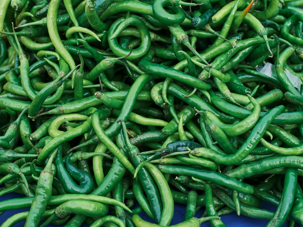 Fresh green chillies