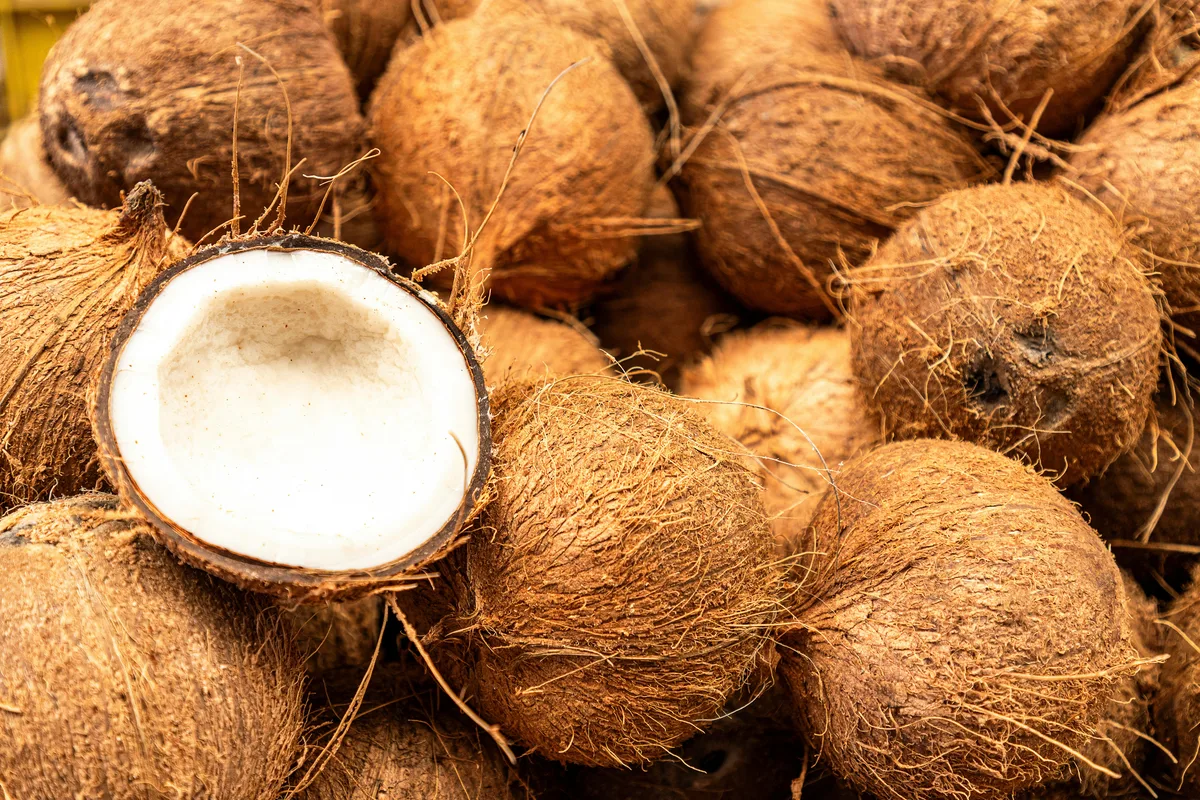 Fresh coconuts