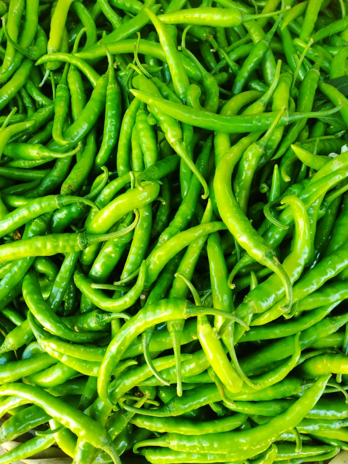 Fresh green chillies