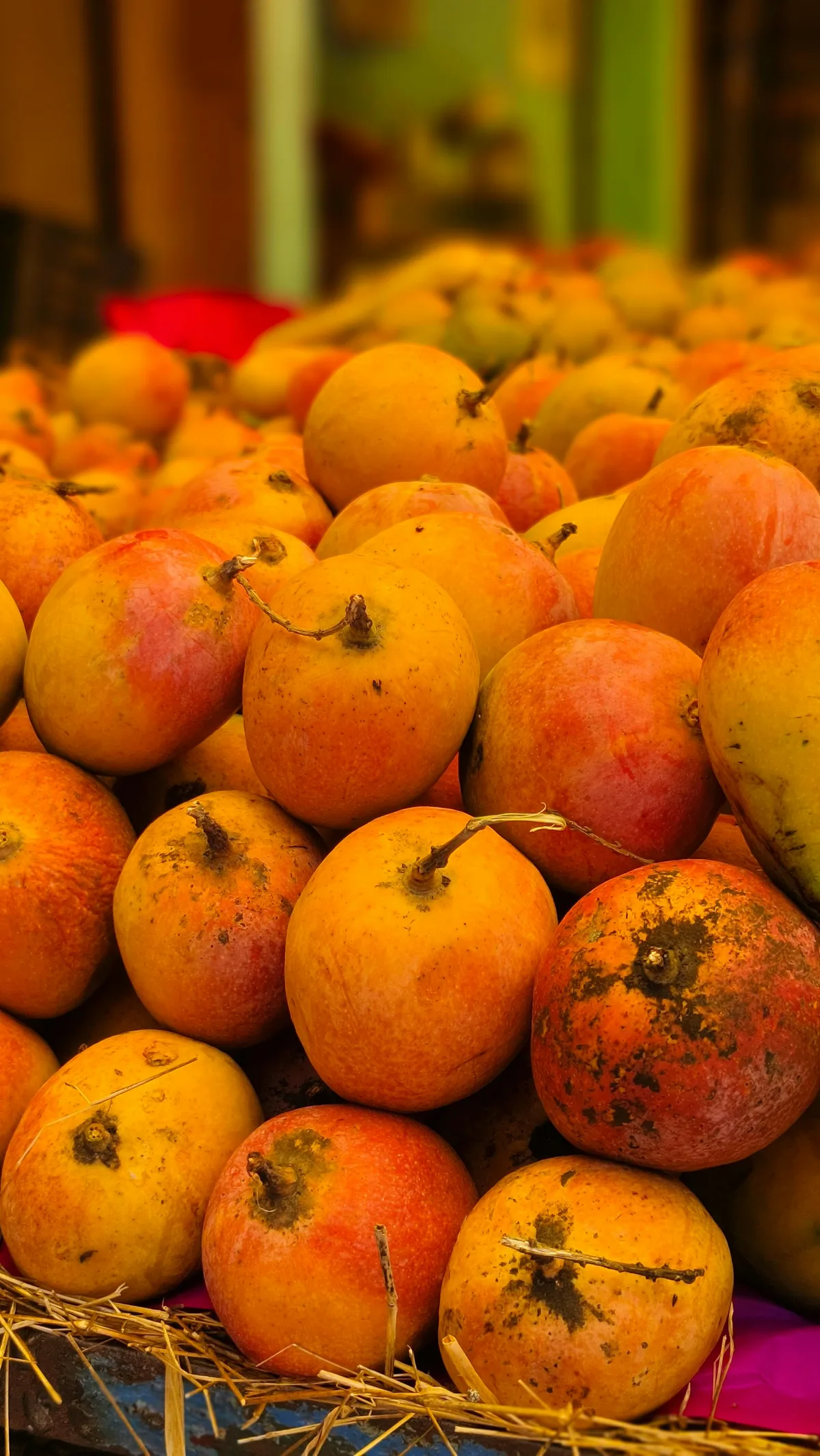 Ripe mango