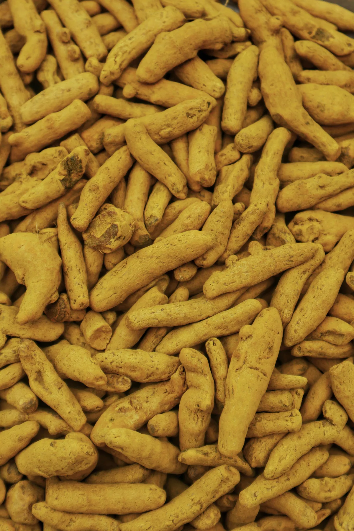 Turmeric powder and finger